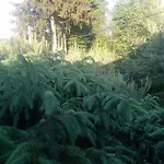Z Ogrodem - Wiejska