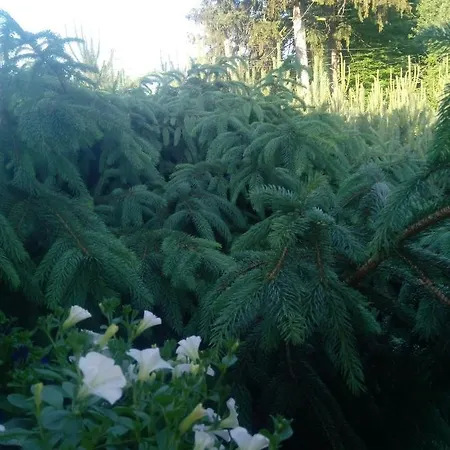 Z Ogrodem - Wiejska Щитна