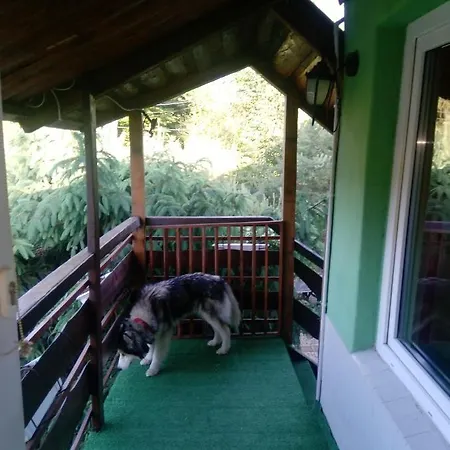 Z Ogrodem - Wiejska Щитна